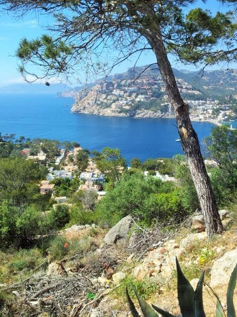Hostal Villa Cati Peguera Eksteriør bilde